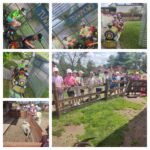 Zdjcie_WhatsApp_2024-06-20_o_184048_dd889e7f