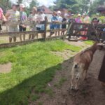 Zdjcie_WhatsApp_2024-06-20_o_184404_8c339191