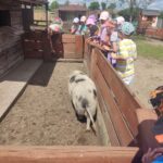 Zdjcie_WhatsApp_2024-06-20_o_184405_b9a97c5c