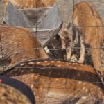 Zdjcie_WhatsApp_2024-06-20_o_184406_4e29e4e0