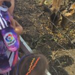 Zdjcie_WhatsApp_2024-06-20_o_184406_807dca9c