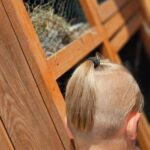 Zdjcie_WhatsApp_2024-06-20_o_184406_a4be4cd5