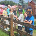 Zdjcie_WhatsApp_2024-06-20_o_184407_296feeba