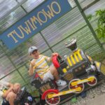 Zdjcie_WhatsApp_2024-06-20_o_184407_c916b84e