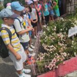 Zdjcie_WhatsApp_2024-06-20_o_184408_08cfc4ad