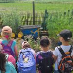 Zdjcie_WhatsApp_2024-06-20_o_184408_0c2a17a8