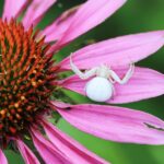 Zdjęcie WhatsApp 2024-09-27 o 10.18.02_3ef38bbb