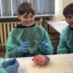 08C1865E-AFED-4F14-95E2-FA26472BEB34