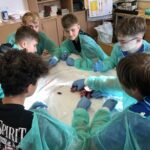 661DFF02-01E8-4C3C-B5D9-D37B25F3EB48