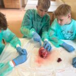 8C538ED8-39E4-466A-84A2-6F93DE5B48DC