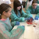 9C1DF8F2-92F3-4D6E-9FED-8418674E56E2