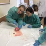 9DD2840C-D5CC-40BE-B937-DD18211763BF