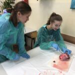 A61E64B7-CFC9-4E3F-85AE-16E91C85E24B