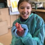 B7D3CEE1-7615-49C1-B363-C6764D4F7593