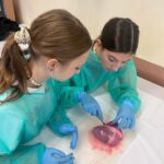 CBDED487-DD19-45AE-99C9-5E365106DA2C