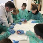 D1EA7952-C876-4506-BF90-EDE4CCCA73E6