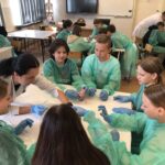 F8CD0FF8-55EB-477A-A884-E748CB03CABF