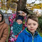 Zdjęcie WhatsApp 2024-12-03 o 13.56.57_28dd4a32