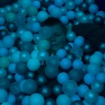 677B7646-A071-49D6-8970-83983441658C