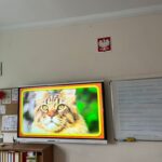 WhatsApp Image 2026-02-21 at 19.21.51