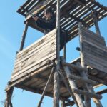 WhatsApp Image 2026-03-19 at 09.57.17 (1)