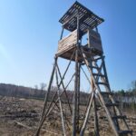 WhatsApp Image 2026-03-19 at 09.57.17