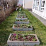 WhatsApp Image 2026-03-20 at 16.36.19 (1)