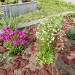 WhatsApp Image 2026-03-20 at 16.36.19