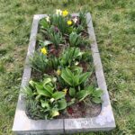 WhatsApp Image 2026-03-20 at 16.36.19 (6)