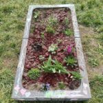 WhatsApp Image 2026-03-20 at 16.36.19 (7)