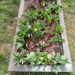 WhatsApp Image 2026-03-20 at 16.36.20