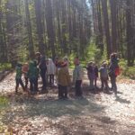 Multimedia (6)